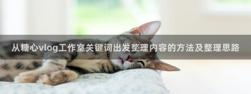 糖心vlog破解版下载